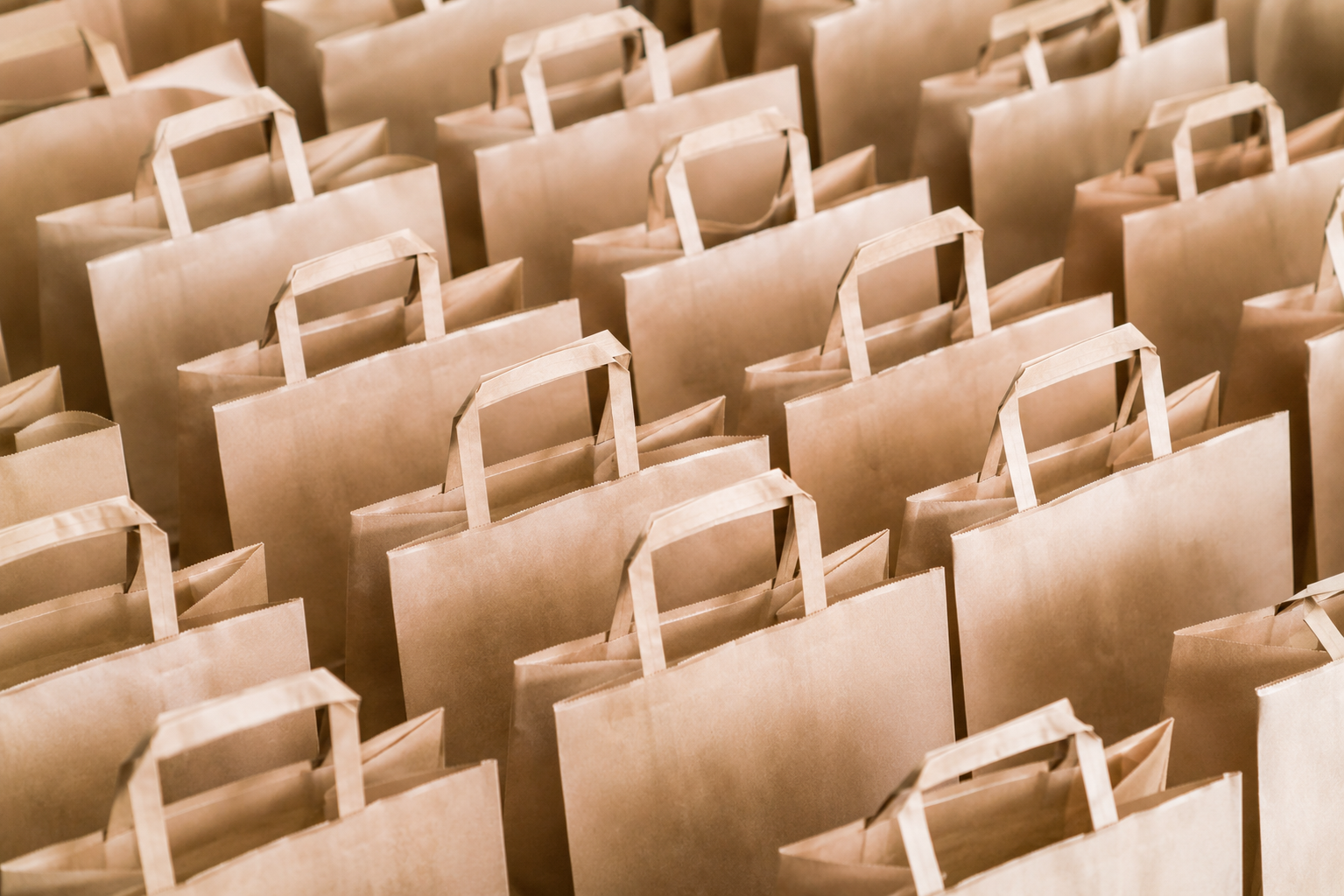 Bolsas Ecokraft